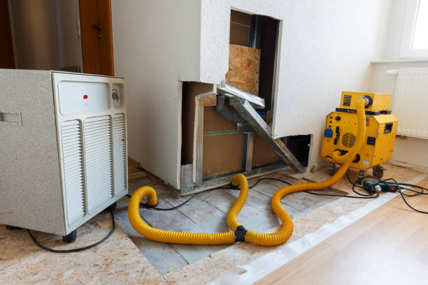 Mold Remediation for Vacation Homes in California, PA