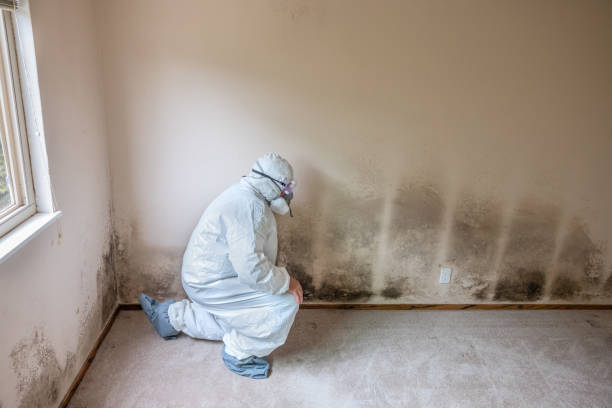 Best HVAC Mold Inspection and Cleaning  in California, PA